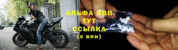 стафф Тавда