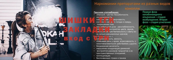 ГАЛЛЮЦИНОГЕННЫЕ ГРИБЫ Алзамай