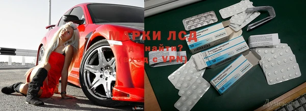 ГАЛЛЮЦИНОГЕННЫЕ ГРИБЫ Алзамай