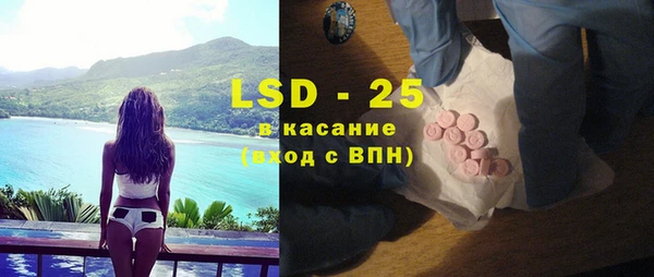 стафф Тайга