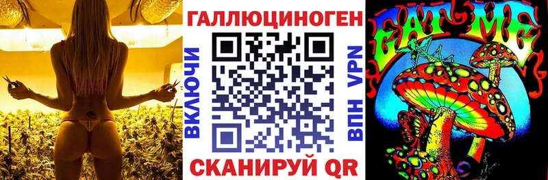 Галлюциногенные грибы мицелий где найти Нижний Новгород