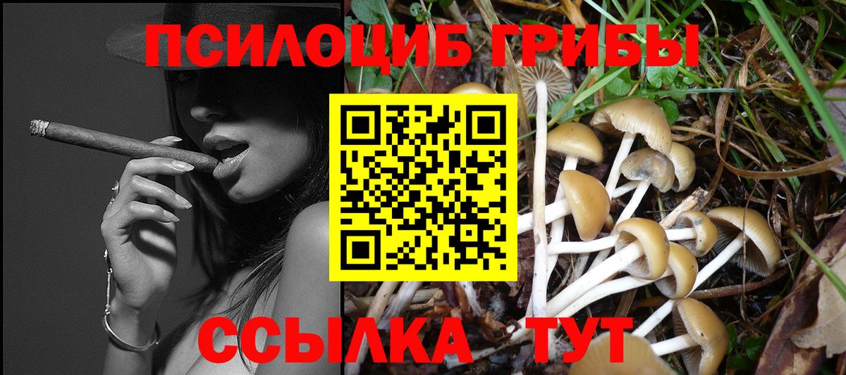 Галлюциногенные грибы MAGIC MUSHROOMS  Псилоцибиновые грибы ЛСД  Вход с VPN  где купить наркоту  Нижний Новгород 