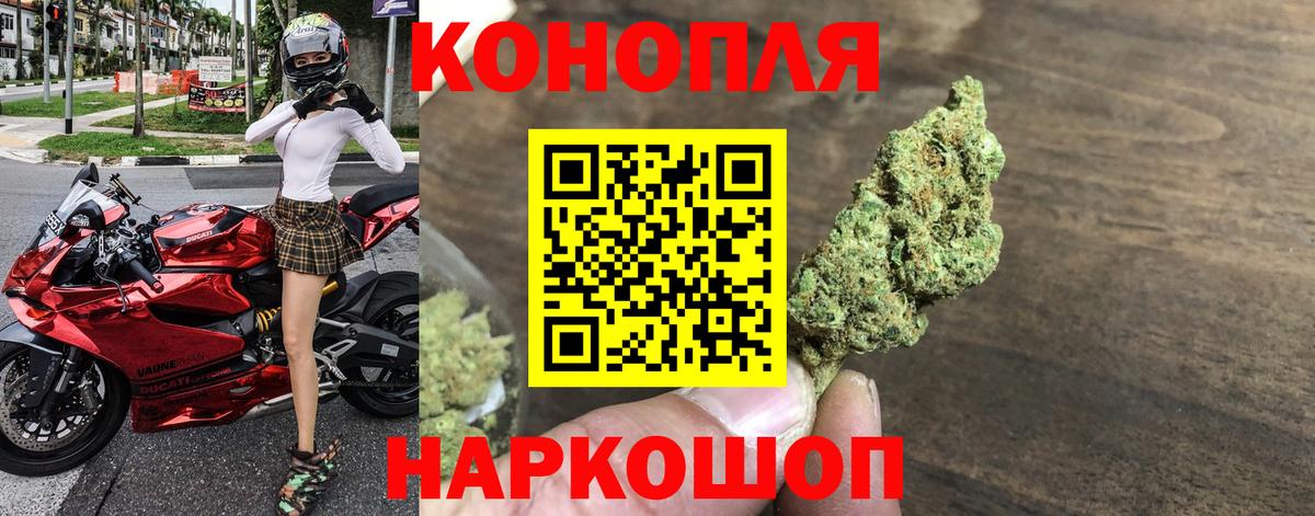 Конопля марихуана Нижний Новгород
